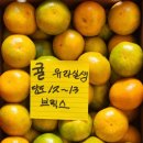 대한야채청과