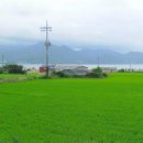 귀농 귀촌지＞ 전남 해남군 북평면 서홍리 토지매매 이미지
