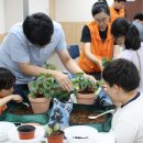 한화솔루션(주)중앙연구소 - 8423 | 한화솔루션(주)중앙연구소