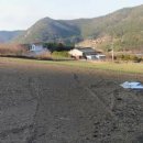 대덕읍 행정복지센터 이미지