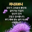 화요일 - 안양시 동안구 동편로27번길 26-12 | 화요일