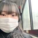 우성마트야채 이미지