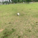 인천아시아드경기장 이미지