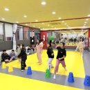 용인대학교 스타태권도장 이미지