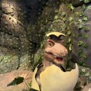 골든파크 | 12월 베트남다낭 가족여행 우기때 바나힐 골든브릿지 테마파크 후기