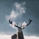 고양대로 이미지