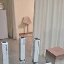 백범로 124번길 | 인천속눈썹 메인틴 뷰티스튜디오 딥클리닉 + 블랙틴팅 속눈썹펌 후기