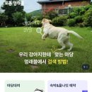 쿨스타스 이미지