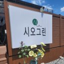 시오그린