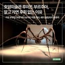 호숫가보금자리 | 용인 호암미술관 나들이, 루이즈 부르주아 전시 관람 꿀팁 총정리 (데이트 코스 추천)