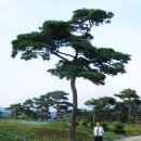 벽절정