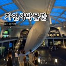고대1110 | 뉴욕 자연사박물관 무료 입장 시간 뉴욕 자유여행 후기