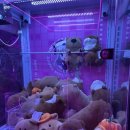 하이게임랜드 이미지