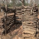 삼막골농원 이미지