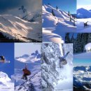 [캐나다지역정보] 북미 최고의 스키 리조트 지역 휘슬러 이미지