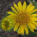 아이러브유헤어 이미지