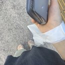 유니동물약국 이미지