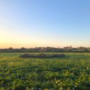 제주하나리조트 이미지