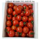 금홍농장 | 당일 수확해 바로 배송! 논산 금홍농장 요요방울토마토 찐추천 후기🍅