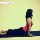 요가비르야 이미지