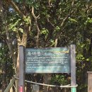 진수식당 이미지