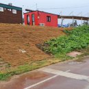 신둔천 2 이미지