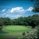 아리지 골프장 이미지