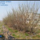 금각보건진료소 이미지