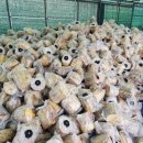 천풍농장 이미지