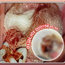 청당탑치과의원 이미지