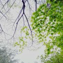 도서관 놀이산책 이미지