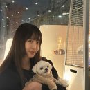 강예원 성형전 나이 앞트임 복원 맞선남 프로필