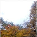 꽃피는산골민박 이미지