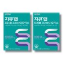 지큐 카카오 검색결과