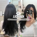 가오초등학교 | 대전 가오동 미용실 '시아헤어' 레이어드컷 잘하는 곳