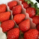 이도한의원 | [2월 일상] 내 황금연휴를 돌려줘