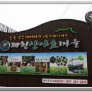 산야초건강마을 이미지