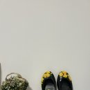 월정 산도롱펜션 이미지