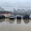 낙동칼국수 이미지