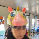 이충 레포츠내부도로 | 태안안면도가볼만한곳 태안레포츠 솔직 방문 후기