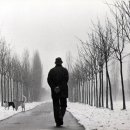 하이브리 이미지