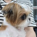 해와달동물병원 이미지