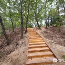 등산로 없는 산 이미지