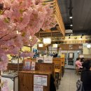 달보름 족발 보쌈 | 속초 족발 보쌈 맛집 : 족발야시장 무청감자탕 속초교동점 (족마호크 후기)