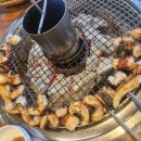 시크릿탑장어 | 인천 계산동 보양식 장어 맛집 시크릿 탑 장어 저녁 특선 백 목이버섯의 효능
