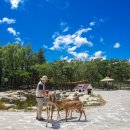 멍티스트 이미지