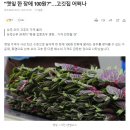 "깻잎 한 장에 100원?"…고깃집 어쩌나 이미지