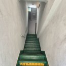 다연헤어라인 이미지