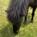 하동목장 이미지