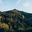 스위스약국 이미지